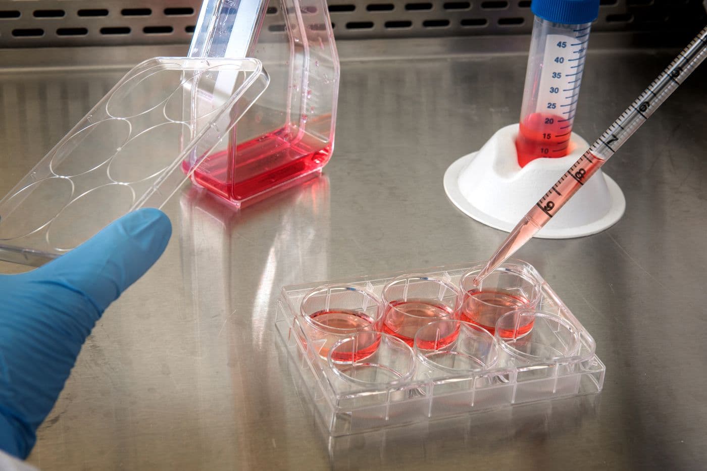 Cell culture flask and sample tubes in a laboratory